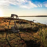 会员商店正版的手机号攻击