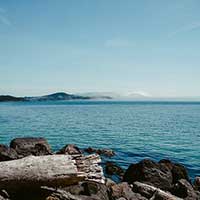 正版授权软件的电话号码轰炸app