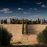 在线永久免费轰炸电话