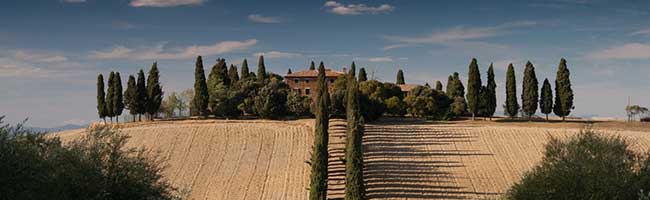 短信轰炸机网页版在线