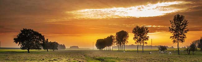 批量采购优惠的电话号码轰炸app